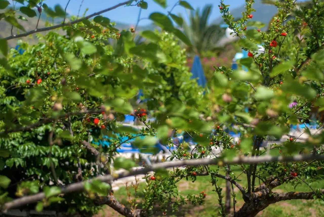 Efrosini Village Katelios Hotel